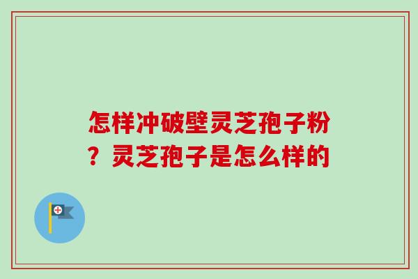 怎样冲破壁灵芝孢子粉？灵芝孢子是怎么样的-第1张图片-卓越灵芝孢子粉