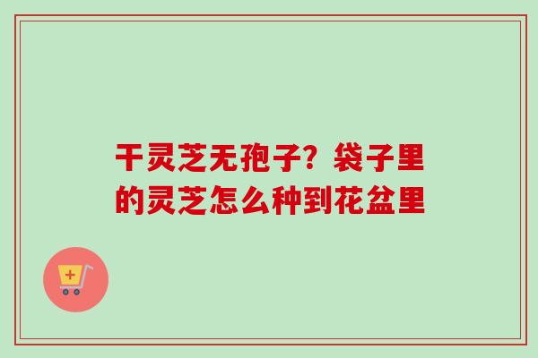 干灵芝无孢子?袋子里的灵芝怎么种到花盆里-第1张图片-卓越灵芝孢子粉 干灵芝无孢子?袋子里的灵芝怎么种到花盆里-第1张图片-卓越灵芝孢子粉