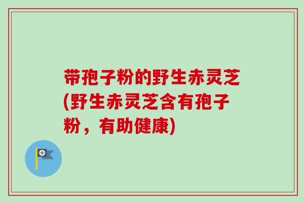 带孢子粉的野生赤灵芝(野生赤灵芝含有孢子粉,有助健康)-第1张图片-卓越灵芝孢子粉 带孢子粉的野生赤灵芝(野生赤灵芝含有孢子粉,有助健康)-第1张图片-卓越灵芝孢子粉