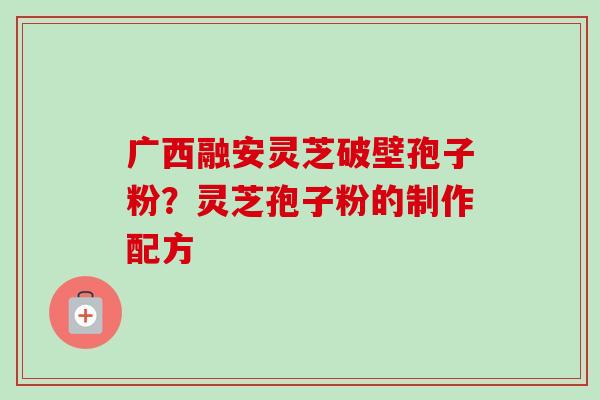 广西融安灵芝破壁孢子粉？灵芝孢子粉的制作配方-第1张图片-卓越灵芝孢子粉