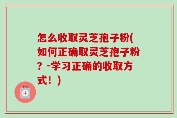怎么收取灵芝孢子粉(如何正确取灵芝孢子粉？-学习正确的收取方式！)-第1张图片-卓越灵芝孢子粉