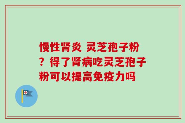 慢性肾炎 灵芝孢子粉？得了肾病吃灵芝孢子粉可以提高免疫力吗-第1张图片-卓越灵芝孢子粉