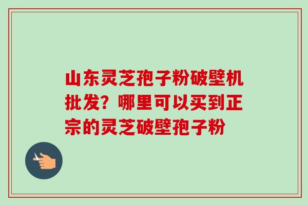 山东灵芝孢子粉破壁机批发？哪里可以买到正宗的灵芝破壁孢子粉-第1张图片-卓越灵芝孢子粉