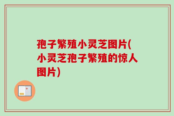 孢子繁殖小灵芝图片(小灵芝孢子繁殖的惊人图片)-第1张图片-卓越灵芝孢子粉 孢子繁殖小灵芝图片(小灵芝孢子繁殖的惊人图片)-第1张图片-卓越灵芝孢子粉