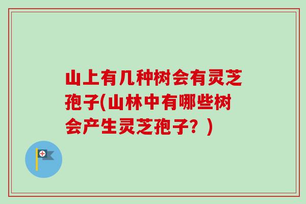 山上有几种树会有灵芝孢子(山林中有哪些树会产生灵芝孢子?)-第1张图片-卓越灵芝孢子粉 山上有几种树会有灵芝孢子(山林中有哪些树会产生灵芝孢子?)-第1张图片-卓越灵芝孢子粉