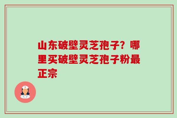 山东破壁灵芝孢子？哪里买破壁灵芝孢子粉最正宗-第1张图片-卓越灵芝孢子粉