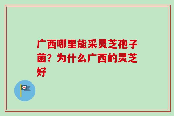 广西哪里能采灵芝孢子菌？为什么广西的灵芝好-第1张图片-卓越灵芝孢子粉