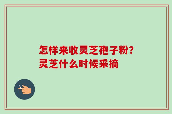 怎样来收灵芝孢子粉?灵芝什么时候采摘-第1张图片-卓越灵芝孢子粉 怎样来收灵芝孢子粉?灵芝什么时候采摘-第1张图片-卓越灵芝孢子粉