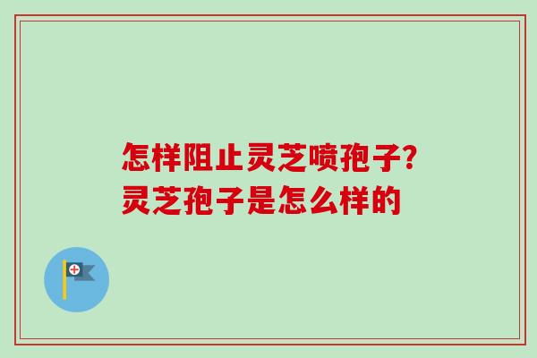 怎样阻止灵芝喷孢子？灵芝孢子是怎么样的-第1张图片-卓越灵芝孢子粉