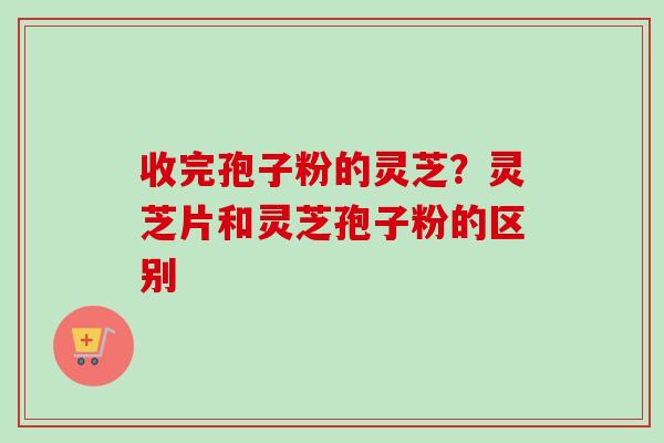 收完孢子粉的灵芝？灵芝片和灵芝孢子粉的区别-第1张图片-卓越灵芝孢子粉