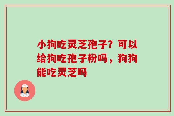 小狗吃灵芝孢子？可以给狗吃孢子粉吗，狗狗能吃灵芝吗-第1张图片-卓越灵芝孢子粉