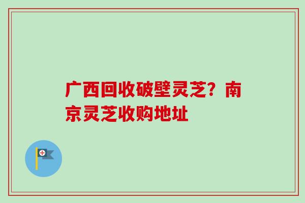 广西回收破壁灵芝?南京灵芝收购地址-第1张图片-卓越灵芝孢子粉 广西回收破壁灵芝?南京灵芝收购地址-第1张图片-卓越灵芝孢子粉