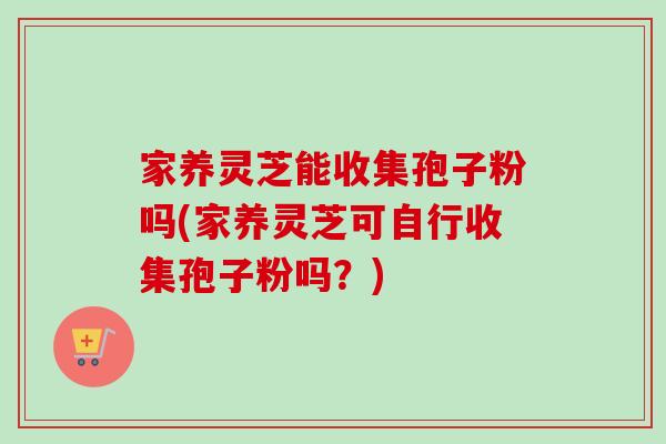 家养灵芝能收集孢子粉吗(家养灵芝可自行收集孢子粉吗?)-第1张图片-卓越灵芝孢子粉 家养灵芝能收集孢子粉吗(家养灵芝可自行收集孢子粉吗?)-第1张图片-卓越灵芝孢子粉