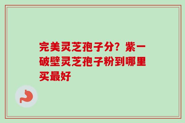 完美灵芝孢子分?紫一破壁灵芝孢子粉到哪里买最好-第1张图片-卓越灵芝孢子粉 完美灵芝孢子分?紫一破壁灵芝孢子粉到哪里买最好-第1张图片-卓越灵芝孢子粉