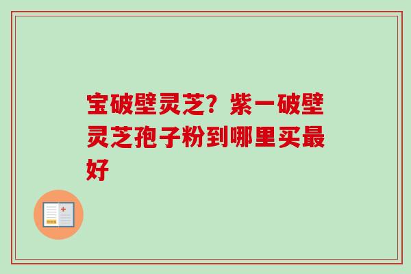 宝破壁灵芝?紫一破壁灵芝孢子粉到哪里买最好-第1张图片-卓越灵芝孢子粉 宝破壁灵芝?紫一破壁灵芝孢子粉到哪里买最好-第1张图片-卓越灵芝孢子粉