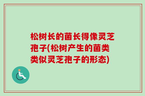 松树长的菌长得像灵芝孢子(松树产生的菌类类似灵芝孢子的形态)-第1张图片-卓越灵芝孢子粉 松树长的菌长得像灵芝孢子(松树产生的菌类类似灵芝孢子的形态)-第1张图片-卓越灵芝孢子粉
