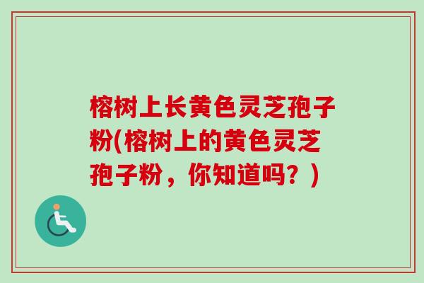 榕树上长黄色灵芝孢子粉(榕树上的黄色灵芝孢子粉,你知道吗?)-第1张图片-卓越灵芝孢子粉 榕树上长黄色灵芝孢子粉(榕树上的黄色灵芝孢子粉,你知道吗?)-第1张图片-卓越灵芝孢子粉