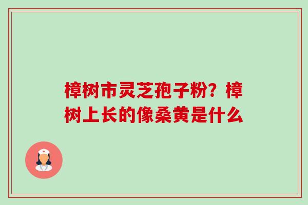 樟树市灵芝孢子粉?樟树上长的像桑黄是什么-第1张图片-卓越灵芝孢子粉 樟树市灵芝孢子粉?樟树上长的像桑黄是什么-第1张图片-卓越灵芝孢子粉