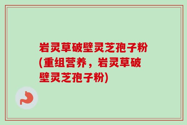 岩灵草破壁灵芝孢子粉(重组营养，岩灵草破壁灵芝孢子粉)-第1张图片-卓越灵芝孢子粉