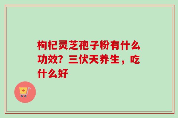 枸杞灵芝孢子粉有什么功效?三伏天养生,吃什么好-第1张图片-卓越灵芝孢子粉 枸杞灵芝孢子粉有什么功效?三伏天养生,吃什么好-第1张图片-卓越灵芝孢子粉