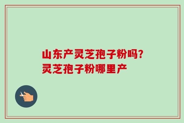 山东产灵芝孢子粉吗？灵芝孢子粉哪里产-第1张图片-卓越灵芝孢子粉
