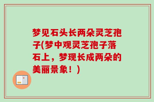 梦见石头长两朵灵芝孢子(梦中观灵芝孢子落石上，梦现长成两朵的美丽景象！)-第1张图片-卓越灵芝孢子粉