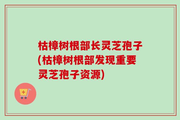 枯樟树根部长灵芝孢子(枯樟树根部发现重要灵芝孢子资源)-第1张图片-卓越灵芝孢子粉 枯樟树根部长灵芝孢子(枯樟树根部发现重要灵芝孢子资源)-第1张图片-卓越灵芝孢子粉