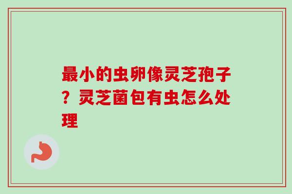 最小的虫卵像灵芝孢子？灵芝菌包有虫怎么处理-第1张图片-卓越灵芝孢子粉