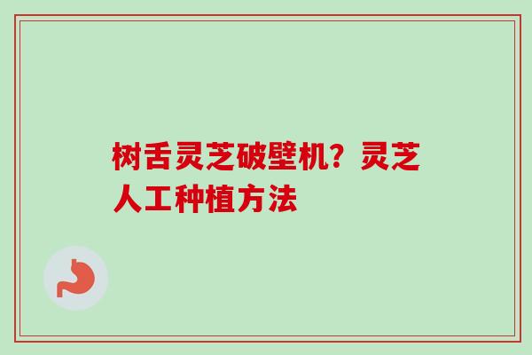 树舌灵芝破壁机?灵芝人工种植方法-第1张图片-卓越灵芝孢子粉 树舌灵芝破壁机?灵芝人工种植方法-第1张图片-卓越灵芝孢子粉