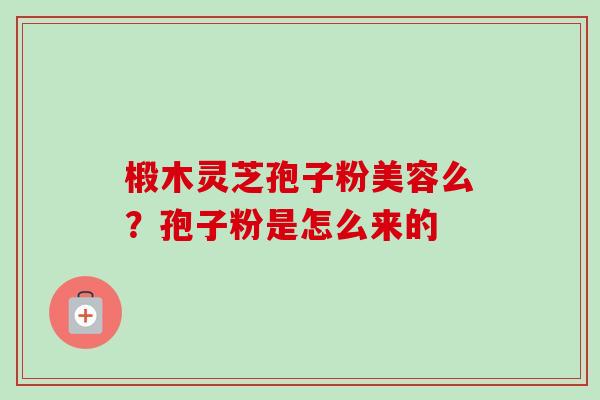 椴木灵芝孢子粉美容么?孢子粉是怎么来的-第1张图片-卓越灵芝孢子粉 椴木灵芝孢子粉美容么?孢子粉是怎么来的-第1张图片-卓越灵芝孢子粉