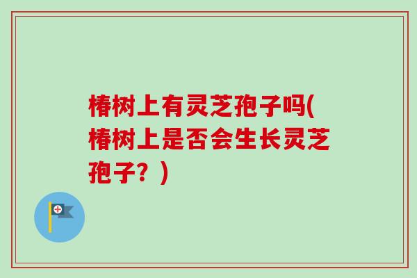 椿树上有灵芝孢子吗(椿树上是否会生长灵芝孢子?)-第1张图片-卓越灵芝孢子粉 椿树上有灵芝孢子吗(椿树上是否会生长灵芝孢子?)-第1张图片-卓越灵芝孢子粉