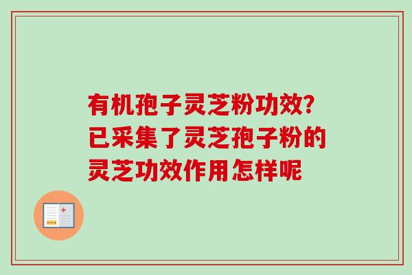 有机孢子灵芝粉功效?已采集了灵芝孢子粉的灵芝功效作用怎样呢-第1张图片-卓越灵芝孢子粉 有机孢子灵芝粉功效?已采集了灵芝孢子粉的灵芝功效作用怎样呢-第1张图片-卓越灵芝孢子粉