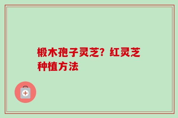 椴木孢子灵芝?红灵芝种植方法-第1张图片-卓越灵芝孢子粉 椴木孢子灵芝?红灵芝种植方法-第1张图片-卓越灵芝孢子粉