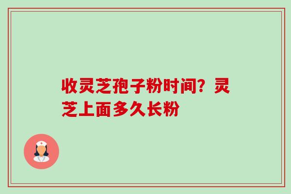 收灵芝孢子粉时间？灵芝上面多久长粉-第1张图片-卓越灵芝孢子粉