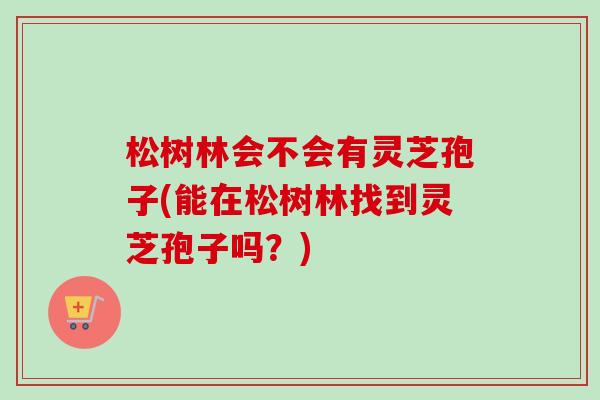 松树林会不会有灵芝孢子(能在松树林找到灵芝孢子吗？)-第1张图片-卓越灵芝孢子粉