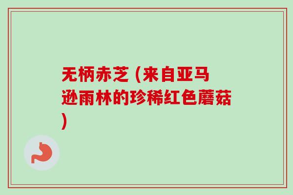 无柄赤芝 (来自亚马逊雨林的珍稀红色蘑菇)-第1张图片-卓越灵芝孢子粉