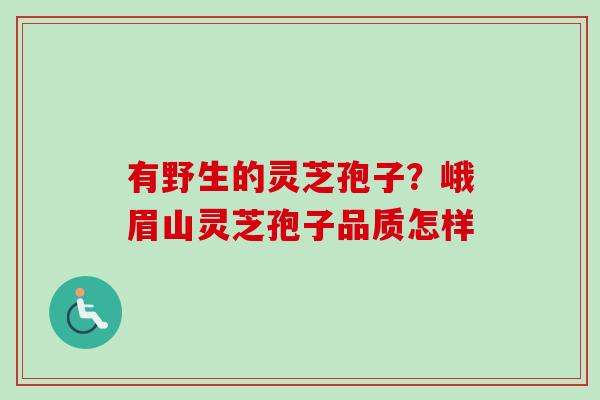 有野生的灵芝孢子?峨眉山灵芝孢子品质怎样-第1张图片-卓越灵芝孢子粉 有野生的灵芝孢子?峨眉山灵芝孢子品质怎样-第1张图片-卓越灵芝孢子粉
