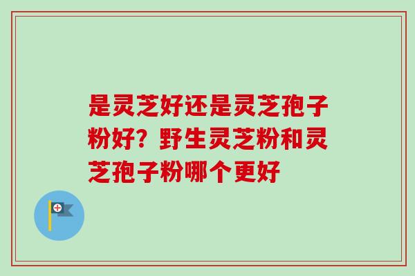 是灵芝好还是灵芝孢子粉好?野生灵芝粉和灵芝孢子粉哪个更好-第1张图片-卓越灵芝孢子粉 是灵芝好还是灵芝孢子粉好?野生灵芝粉和灵芝孢子粉哪个更好-第1张图片-卓越灵芝孢子粉