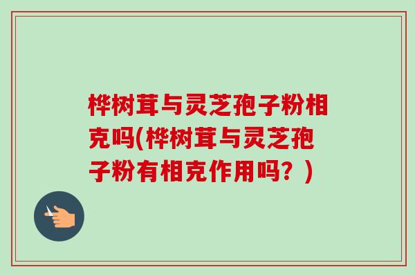 桦树茸与灵芝孢子粉相克吗(桦树茸与灵芝孢子粉有相克作用吗？)-第1张图片-卓越灵芝孢子粉