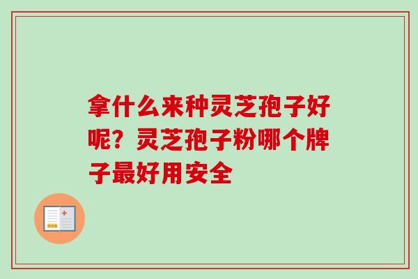 拿什么来种灵芝孢子好呢？灵芝孢子粉哪个牌子最好用安全-第1张图片-卓越灵芝孢子粉