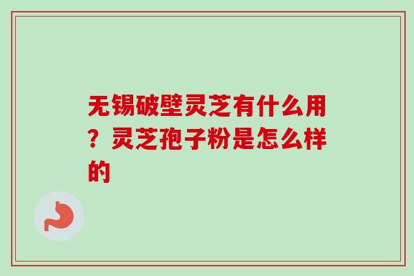 无锡破壁灵芝有什么用?灵芝孢子粉是怎么样的-第1张图片-卓越灵芝孢子粉 无锡破壁灵芝有什么用?灵芝孢子粉是怎么样的-第1张图片-卓越灵芝孢子粉