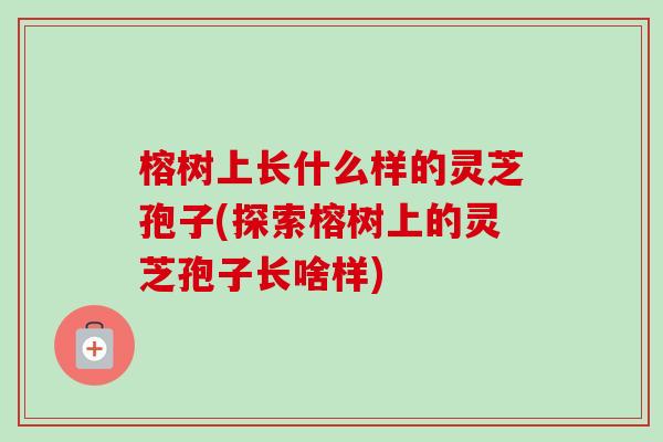 榕树上长什么样的灵芝孢子(探索榕树上的灵芝孢子长啥样)-第1张图片-卓越灵芝孢子粉 榕树上长什么样的灵芝孢子(探索榕树上的灵芝孢子长啥样)-第1张图片-卓越灵芝孢子粉