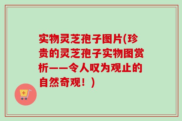 实物灵芝孢子图片(珍贵的灵芝孢子实物图赏析——令人叹为观止的自然奇观!)-第1张图片-卓越灵芝孢子粉 实物灵芝孢子图片(珍贵的灵芝孢子实物图赏析——令人叹为观止的自然奇观!)-第1张图片-卓越灵芝孢子粉