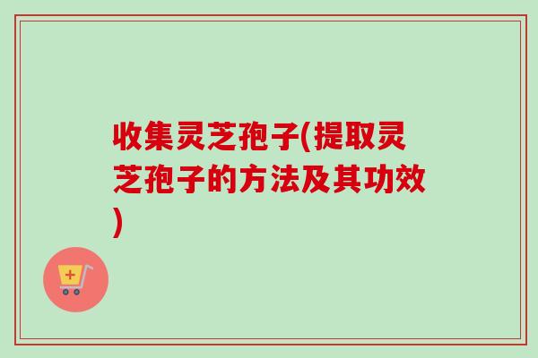 收集灵芝孢子(提取灵芝孢子的方法及其功效)-第1张图片-卓越灵芝孢子粉 收集灵芝孢子(提取灵芝孢子的方法及其功效)-第1张图片-卓越灵芝孢子粉