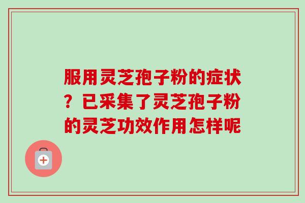 服用灵芝孢子粉的症状?已采集了灵芝孢子粉的灵芝功效作用怎样呢-第1张图片-卓越灵芝孢子粉 服用灵芝孢子粉的症状?已采集了灵芝孢子粉的灵芝功效作用怎样呢-第1张图片-卓越灵芝孢子粉