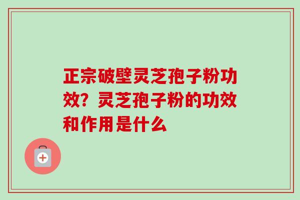 正宗破壁灵芝孢子粉功效？灵芝孢子粉的功效和作用是什么-第1张图片-卓越灵芝孢子粉