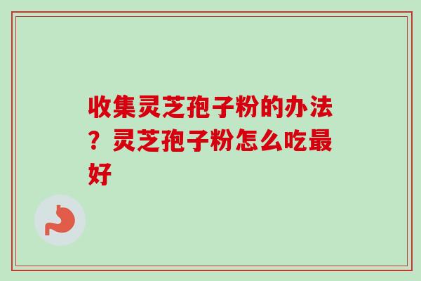 收集灵芝孢子粉的办法？灵芝孢子粉怎么吃最好-第1张图片-卓越灵芝孢子粉
