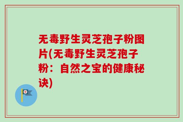 无毒野生灵芝孢子粉图片(无毒野生灵芝孢子粉：自然之宝的健康秘诀)-第1张图片-卓越灵芝孢子粉