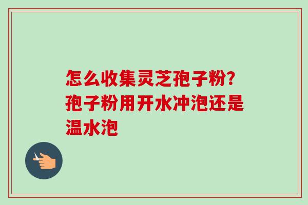 怎么收集灵芝孢子粉?孢子粉用开水冲泡还是温水泡-第1张图片-卓越灵芝孢子粉 怎么收集灵芝孢子粉?孢子粉用开水冲泡还是温水泡-第1张图片-卓越灵芝孢子粉