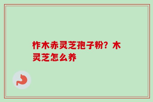 柞木赤灵芝孢子粉?木灵芝怎么养-第1张图片-卓越灵芝孢子粉 柞木赤灵芝孢子粉?木灵芝怎么养-第1张图片-卓越灵芝孢子粉